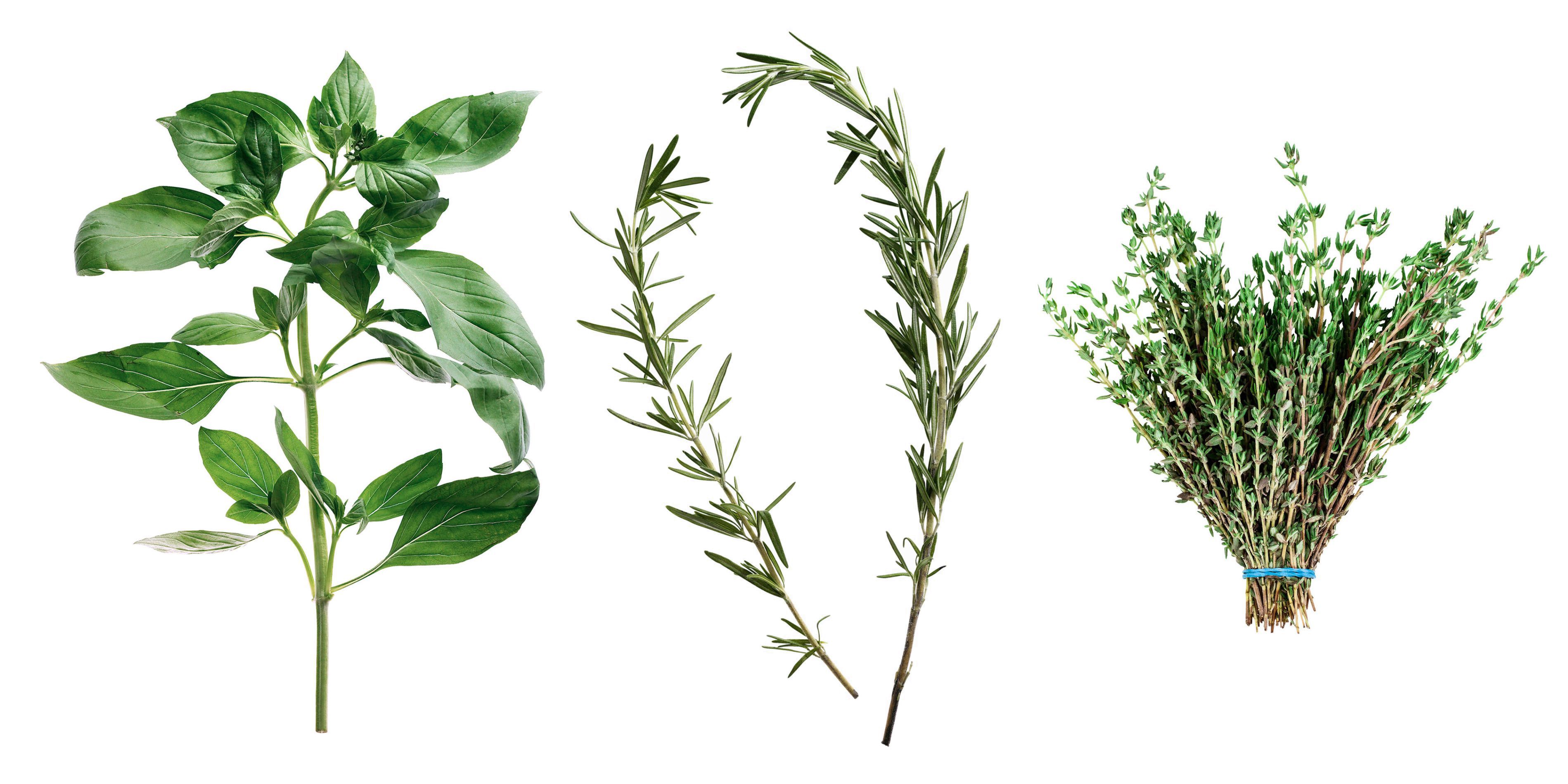 Indoor Herb Garden How To Make A Kitchen Herb Garden