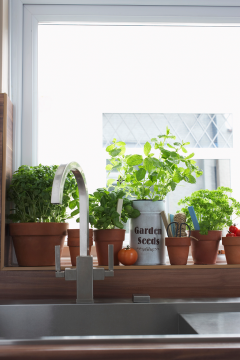 Indoor Herb Garden How To Make A Kitchen Herb Garden