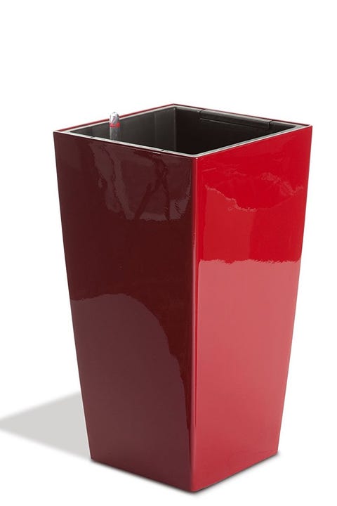 The 22 Best Large Plant Pots For Design Impact House Plants Image