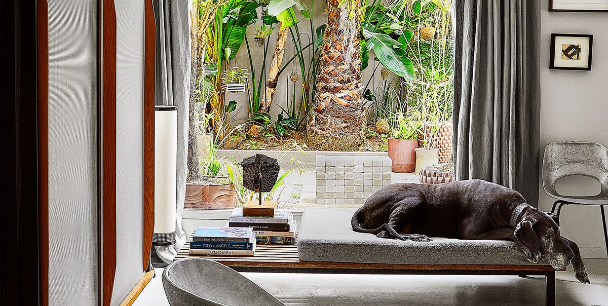 Tour Cliff Fong’s Lush Los Angeles Home