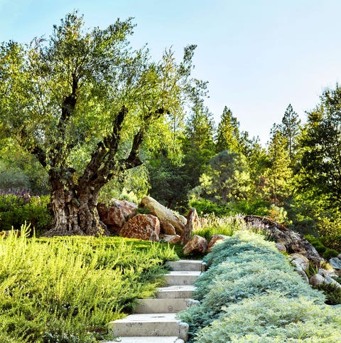 A List 2022 - ELLE DECOR outdoor garden with concrete steps leading upward