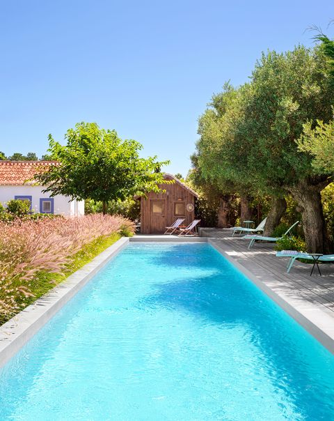 a rectangular pool with tall grasses along left and cement deck and lounge chairs beneath trees on right, a wooden cabana and a small white stucco building with blue framed windows and clay tiled roof