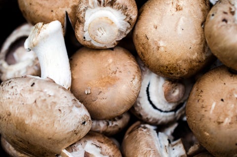 Edible brown mushroom close-up background Edible brown mushroom close-up background