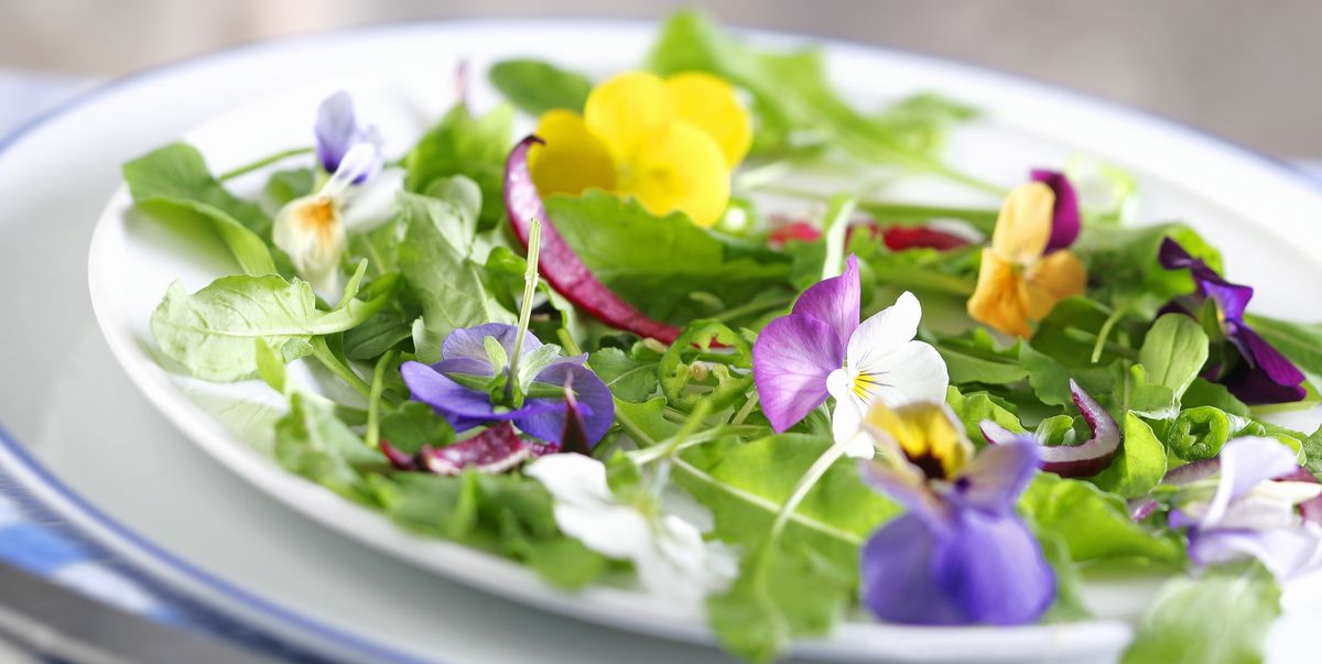 Best Edible Flowers – How to Cook with Edible Flowers