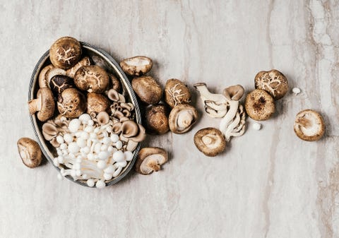 Edible mushrooms Edible mushrooms