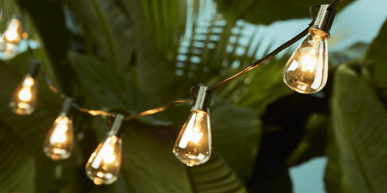 11 Best Edison Light Bulbs for Your Home in 2018 - Indoor & Outdoor ... 11 Best Edison Light Bulbs for Your Home in 2018 - Indoor & Outdoor ...
