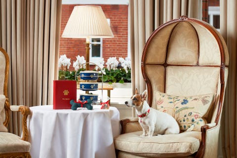 Egerton House Hotel photo