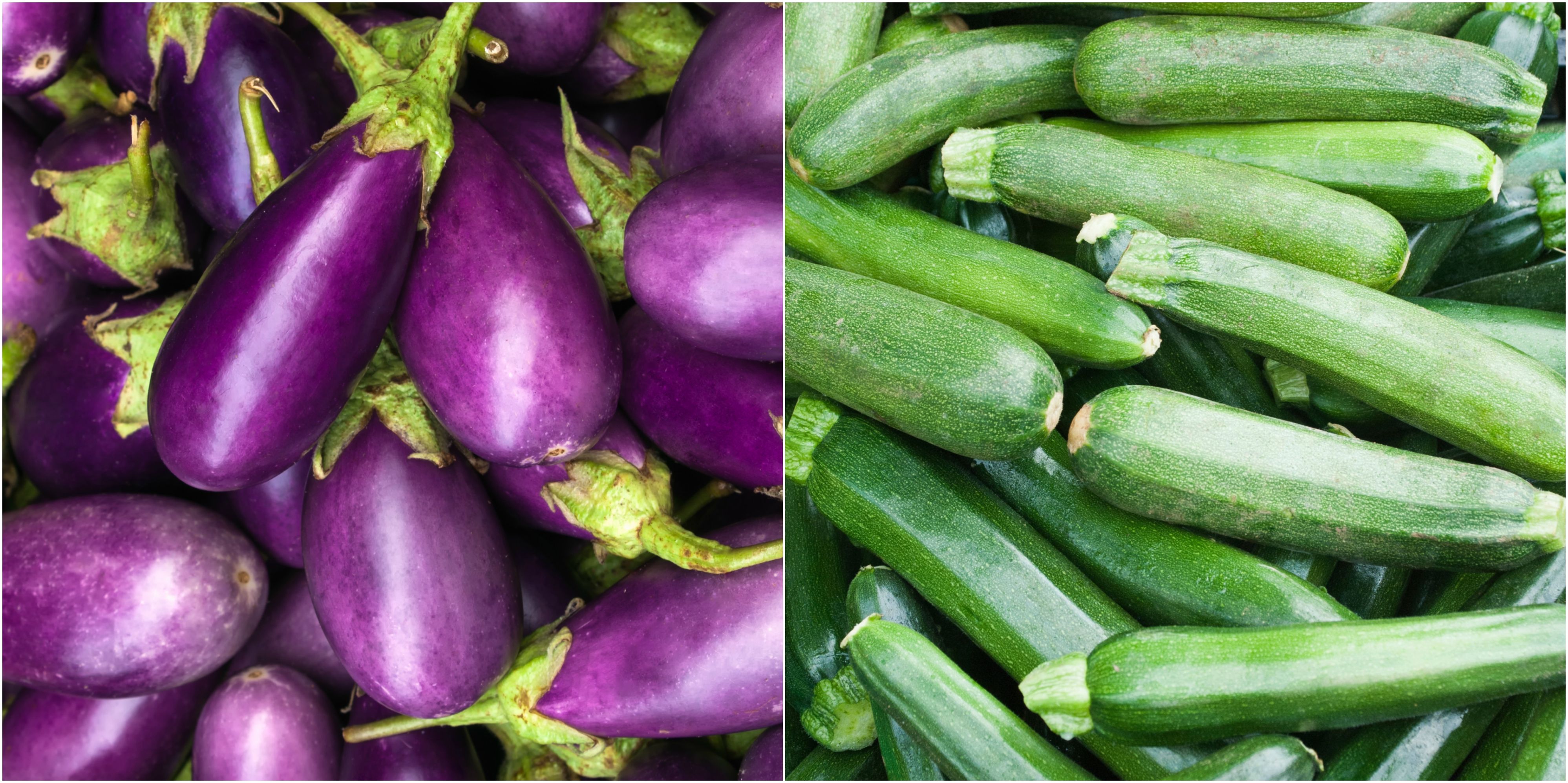 chinese-eggplant-nutrition