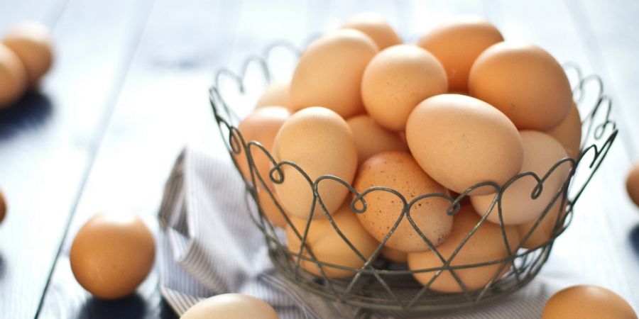 Ondoorzichtig Maak een naam Schuine streep Eieren in de koelkast bewaren: doen of niet?