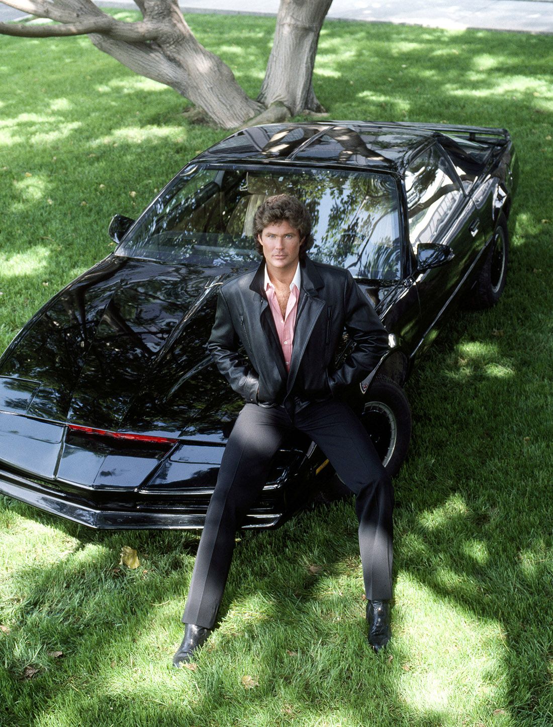 dramático Desafío Recoger hojas David Hasselhoff anuncia un 'reboot' de 'El coche fantástico'