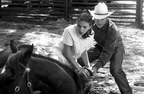 Mammal, Horse, Riding instructor, Horse supplies, Recreation, Bridle, Animal training, Style, mammal, horse, riding instructor, horse supplies, recreation, bridle, animal training, style,