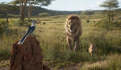 El rey león escenas eliminadas