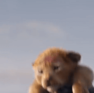 Película de 'El Rey León' Película de 'El Rey León'