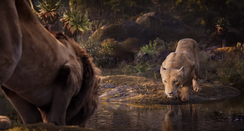 differences between the lion king 2019 and the classic