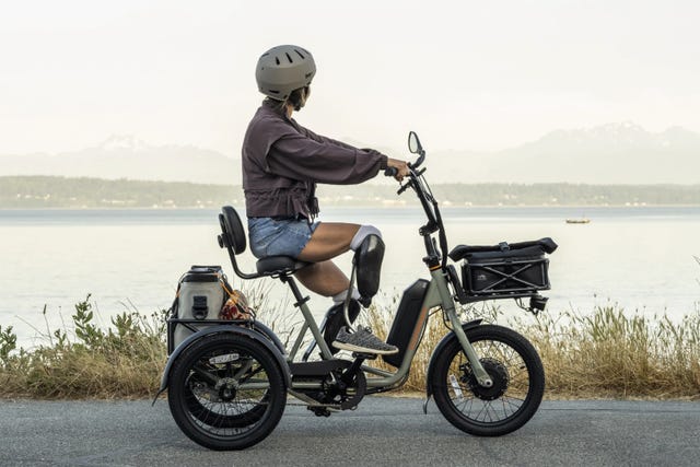 electric tricycle