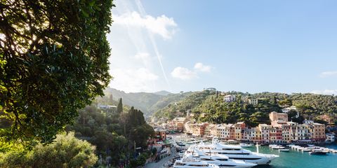 Elevated view of yachts in marina, Portofino, Liguria, Italy, Europe