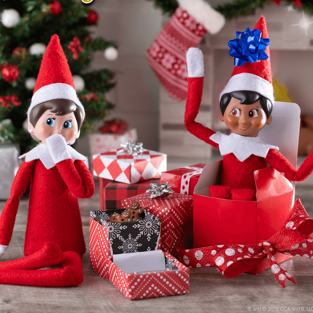 Image result for elf on the shelf