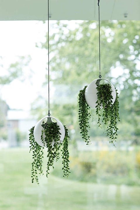 13 Best Indoor Hanging Planters