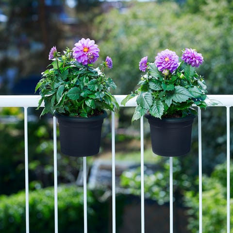 Balcony Ideas How To Decorate A Balcony Garden Balcony Ideas How To Decorate A Balcony Garden
