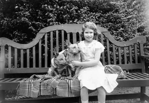 de prinses zit op een tuinbankje met twee corgi honden