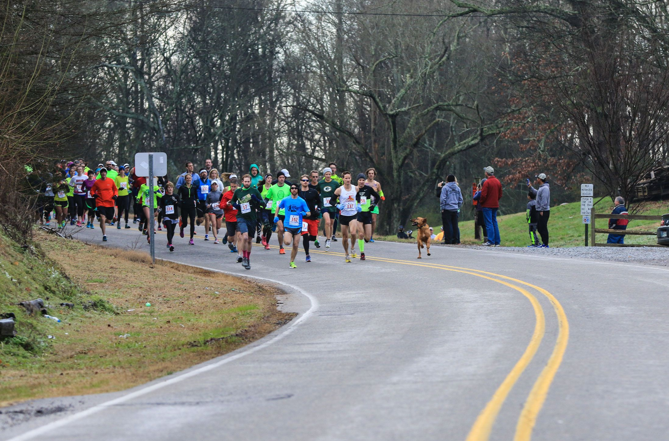 can a dog run a marathon