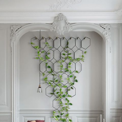 Pacífico Novio Automáticamente Plantas de interior para decorar la casa: 21 ideas DIY