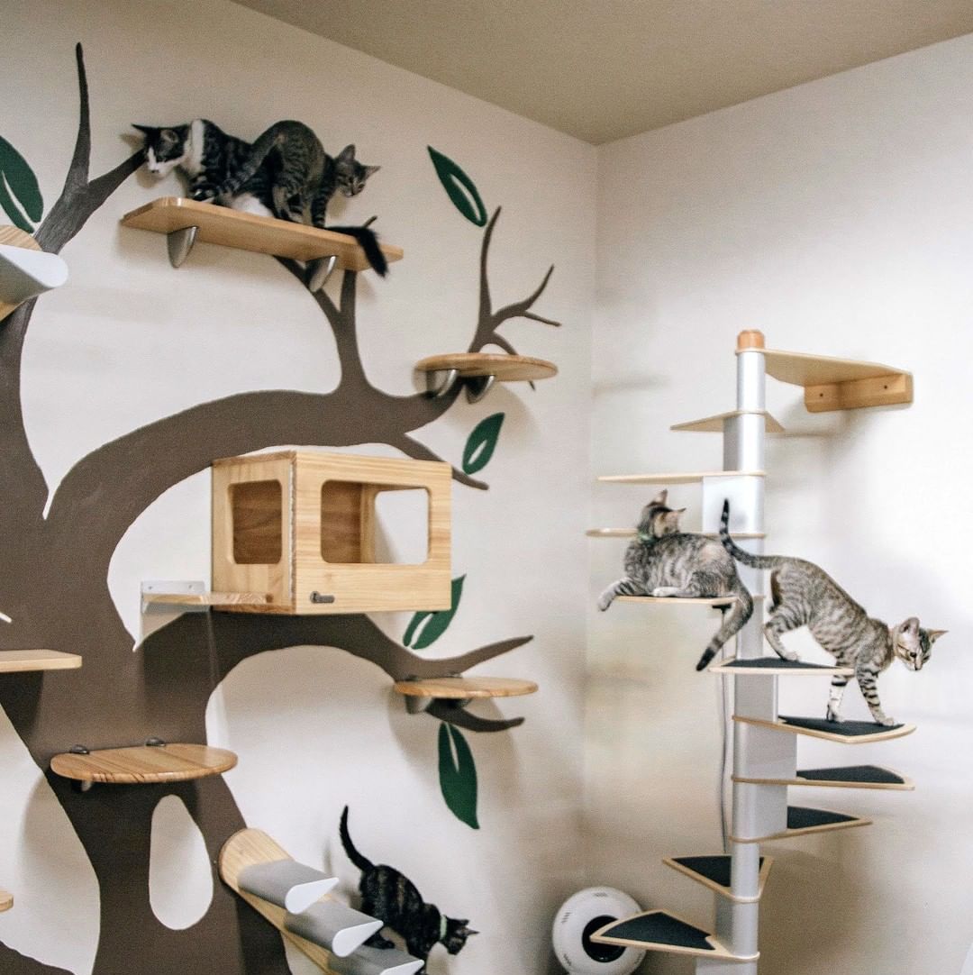 Ideas crear un parque para gatos casero