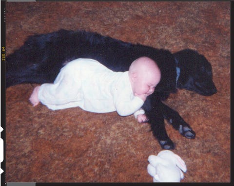 dog and baby snuggling