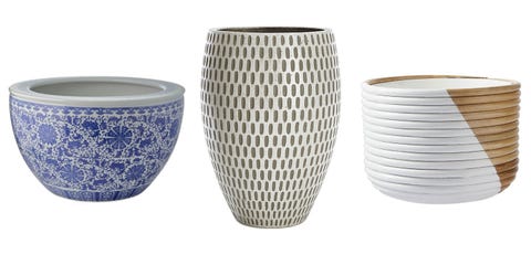 The 22 Best Large Plant Pots For Design Impact House Plants Image
