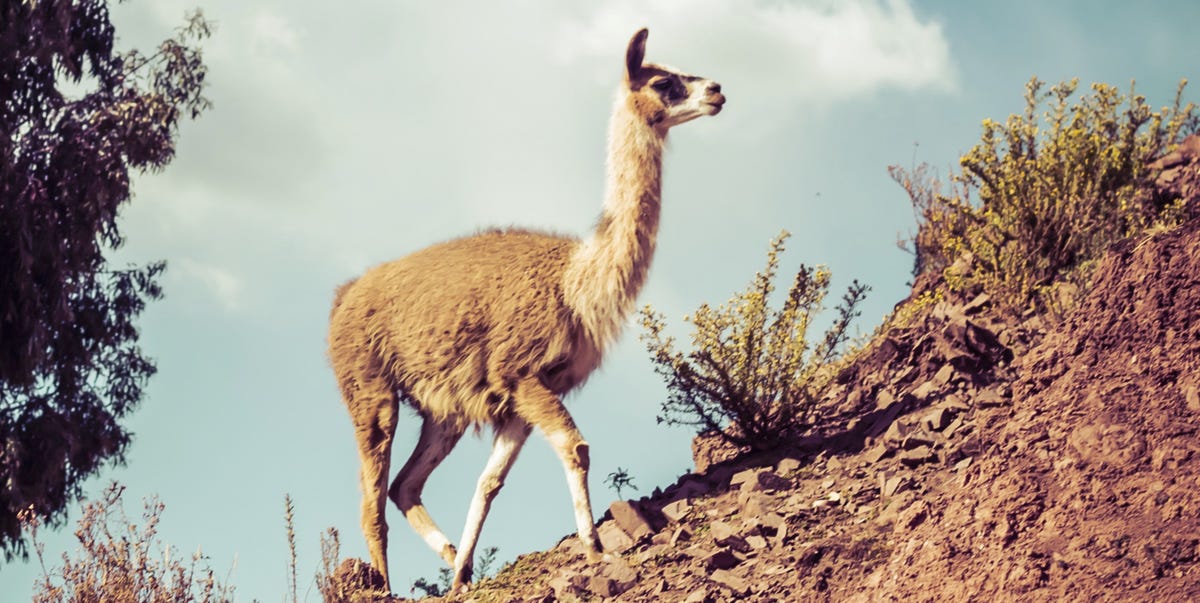 Welcome to Peru