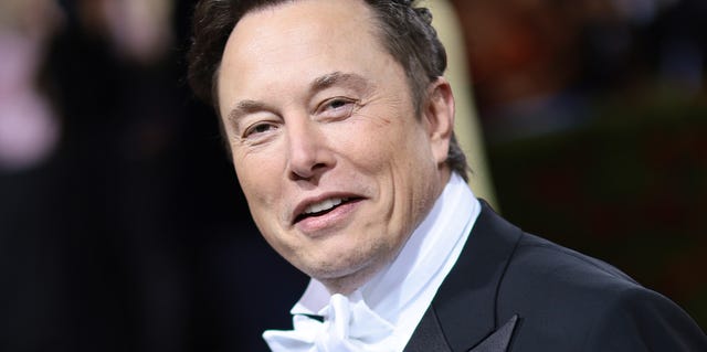 Elon Musk denies sexually harassing a woman on his private jet