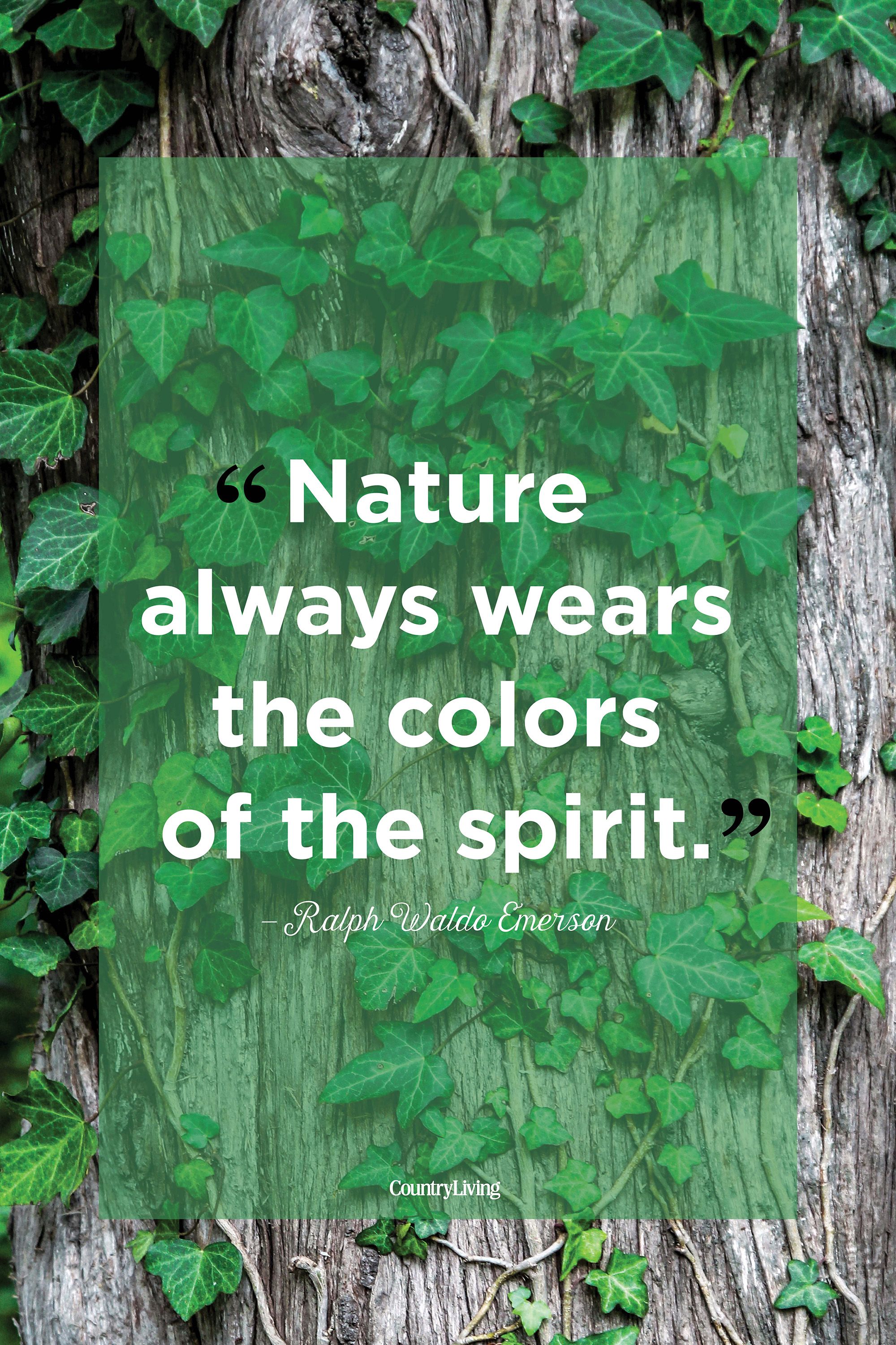 Inspicere Medicinsk hånd 58 Best Nature Quotes - Inspirational Sayings About Nature