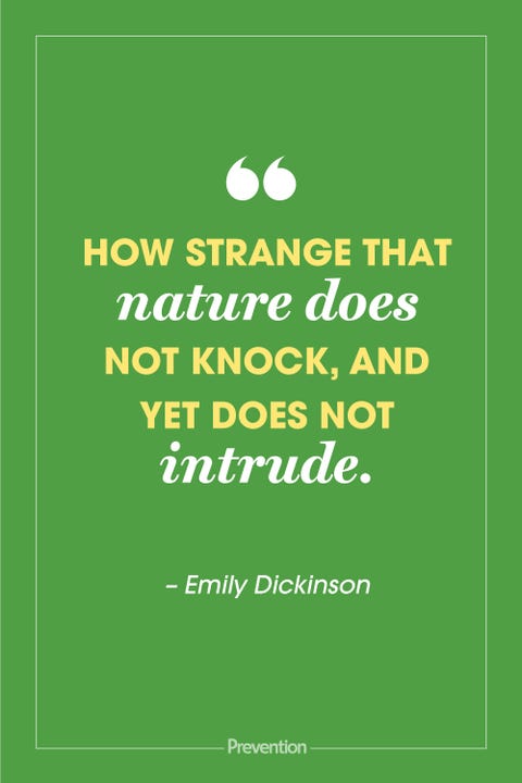 50 Best Nature Quotes Inspiring Quotes About Mother Earth