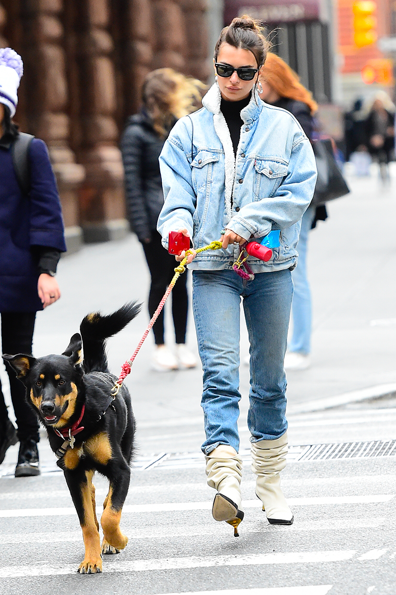 dog walking outfit winter