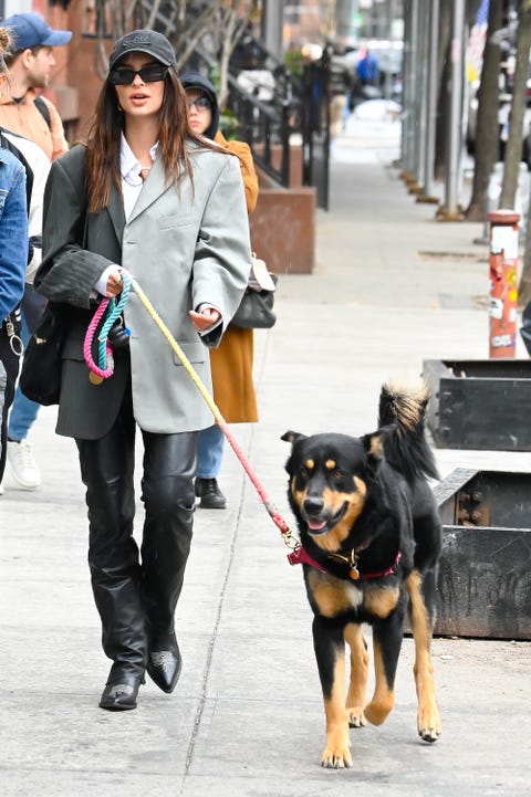 Emily Ratajkowski Posts a Carefree Nude Pic With Her Canine Columbo Emily Ratajkowski Posts a Carefree Nude Pic With Her Canine Columbo