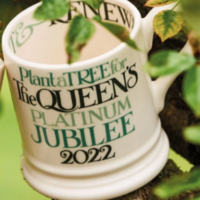 emma bridgewater queen's green canopy mug