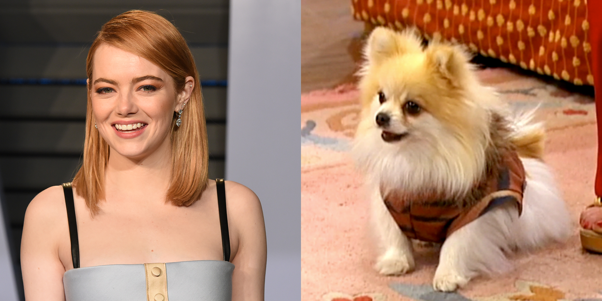 Celebs Who Guest Starred on Disney Shows , Disney Channel