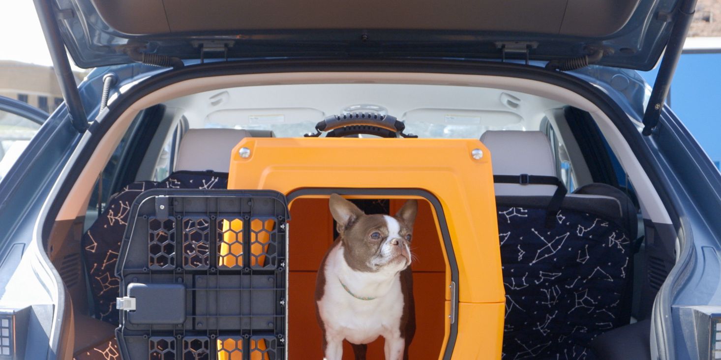 Best Dog and Pet Car Crates, Carriers, and Restraints of 2024
