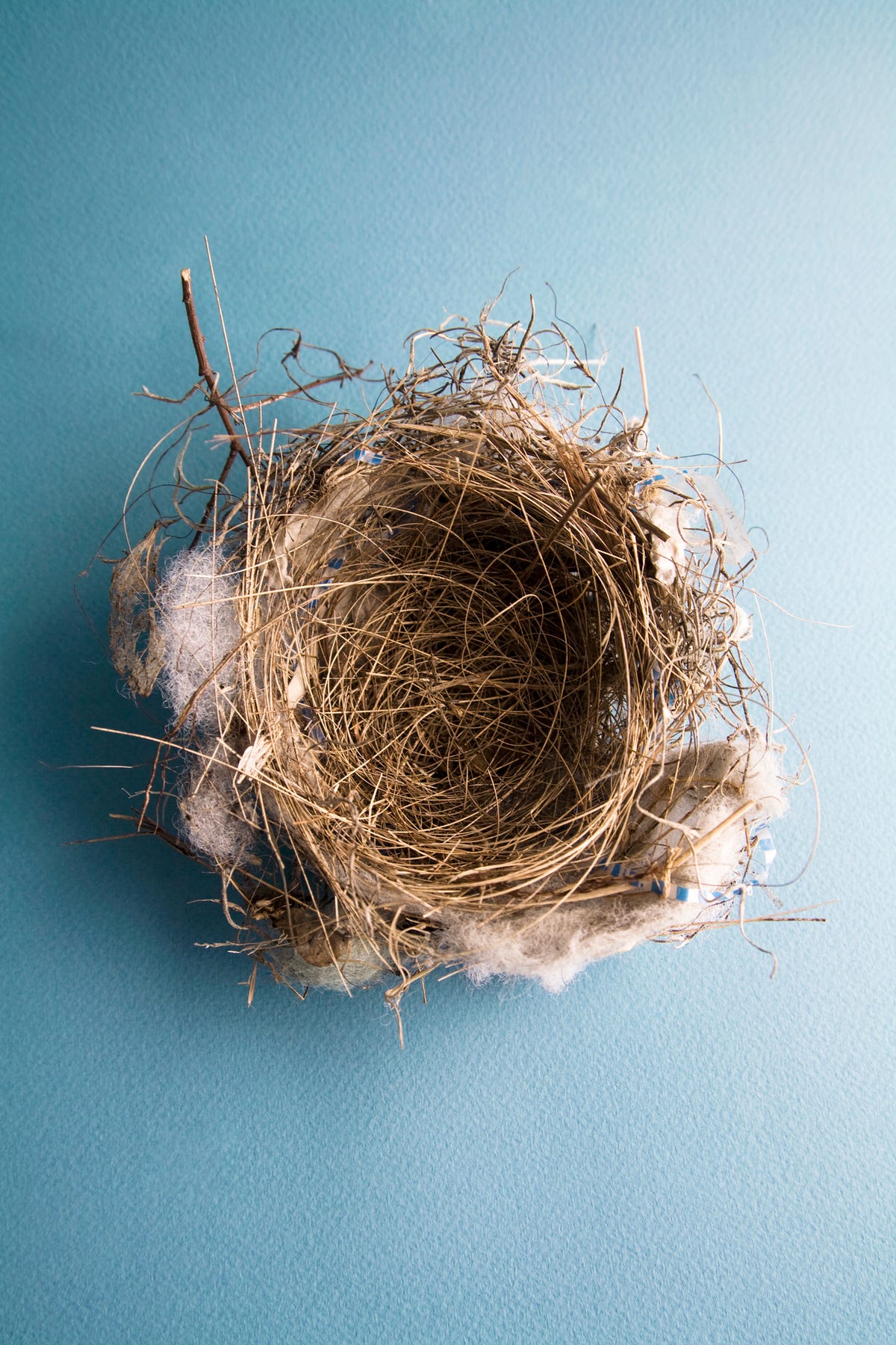 Empty nest syndrome: how to cope when your children leave home