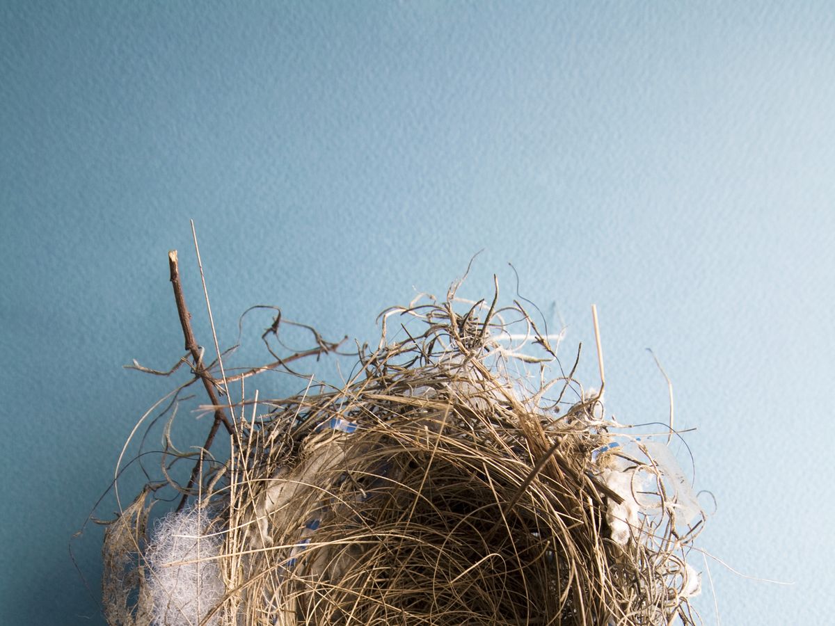 What Now? Understanding Empty Nest Syndrome