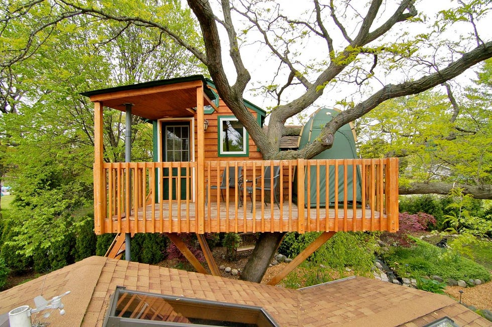 Cedar tree house near Chicago, IL | Designs casa na árvore, Casa na ...