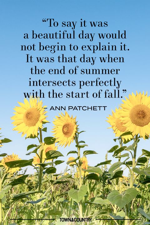 30+ Best End of Summer Quotes - Beautiful Quotes About the Last Days of