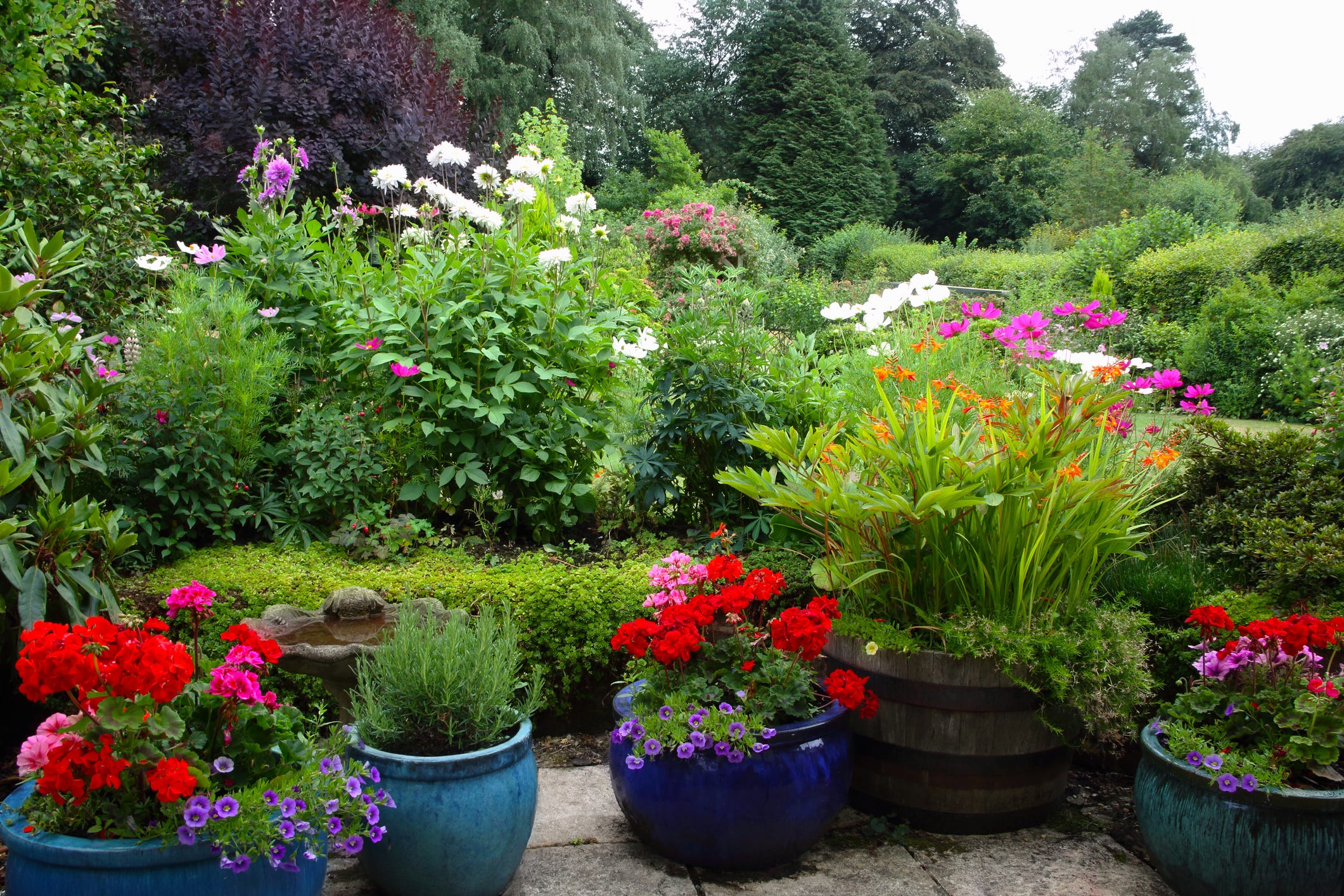 Our Top 55 Container Gardening Ideas Will Bring So Much Charm to Your Porch or Patio