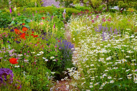 British Garden Design 10 English Garden Design Ideas How to Make an English 