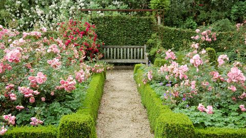 10 English Garden Design Ideas How To Make An English Garden