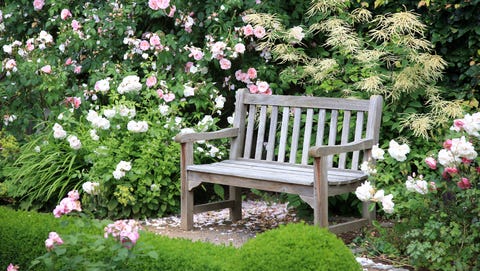 10 English Garden Design Ideas How To Make An English Garden