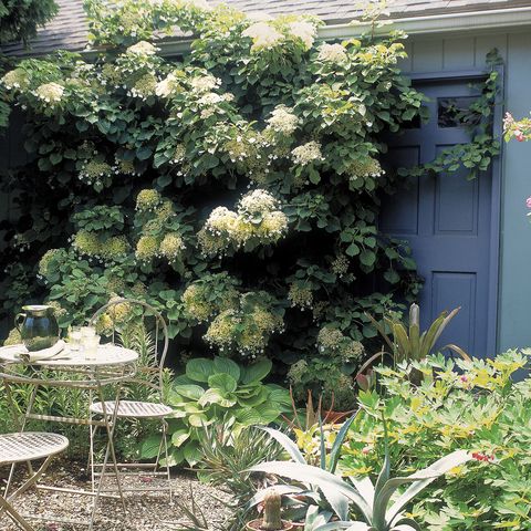 15 Best English Garden Ideas How To Design An English Garden