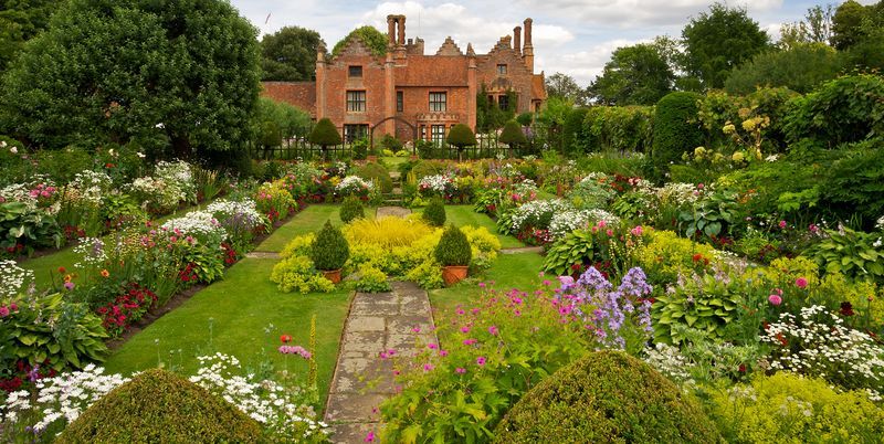 garden with lawn