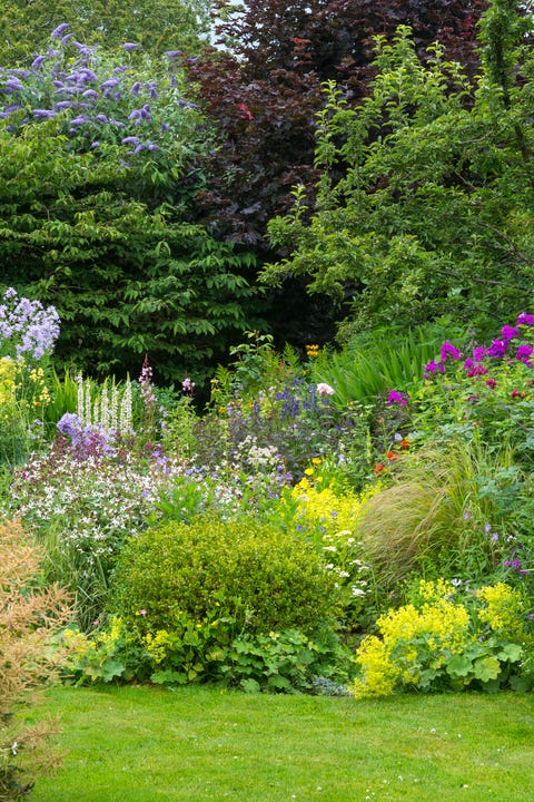 15 Best English Garden Design Ideas How To Make An English