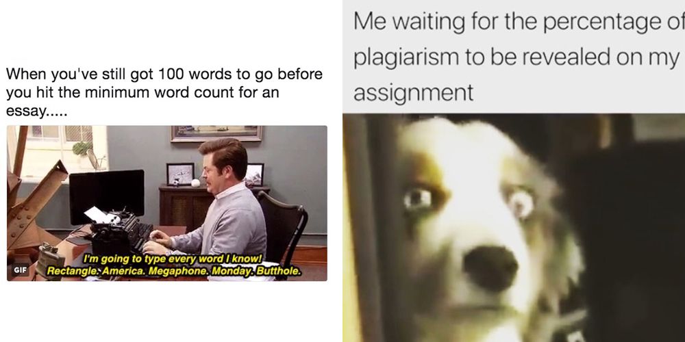13 memes you'll only relate to if you're an English student